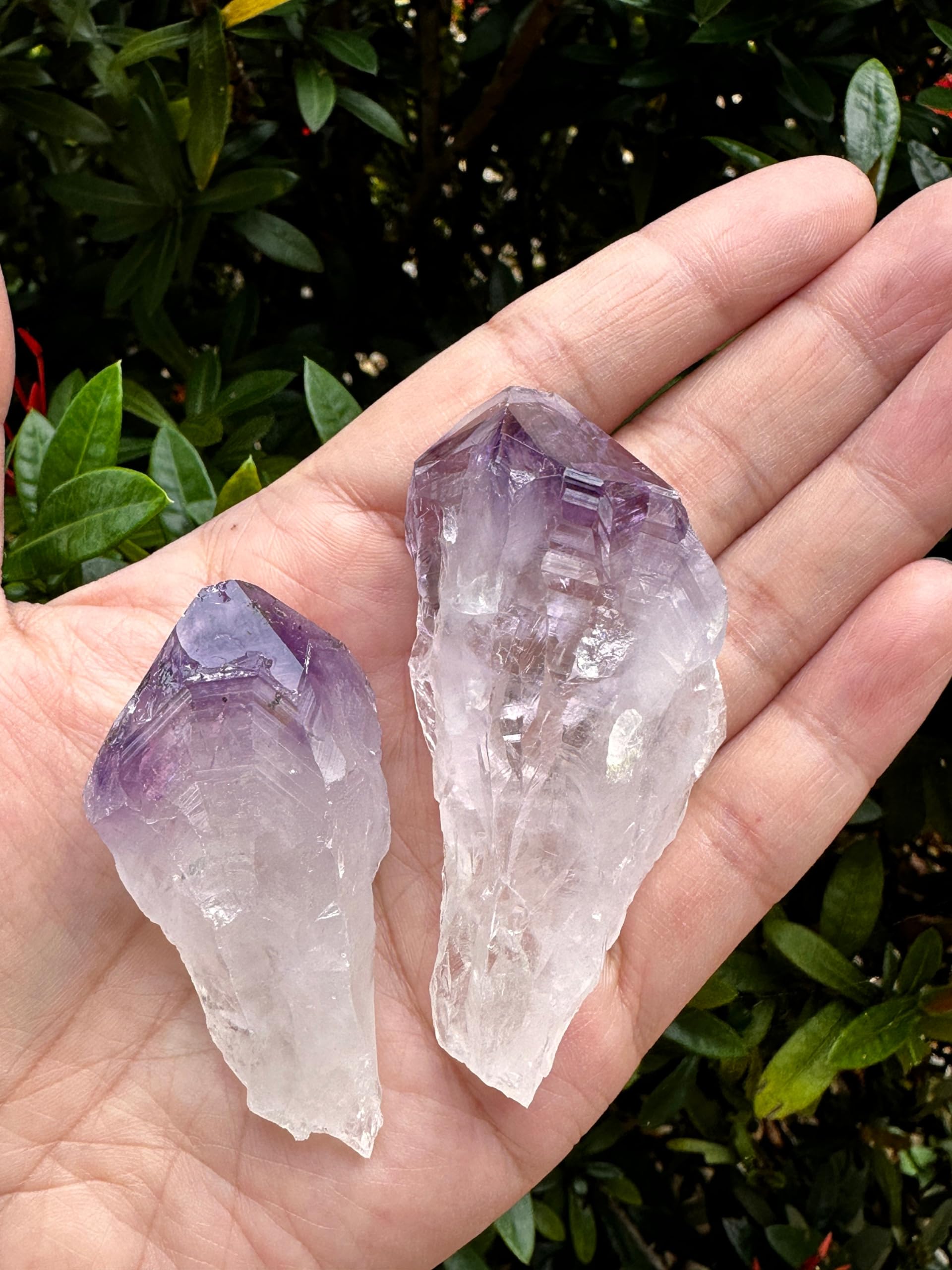 GAF TREASURES three-pack amethyst points with natural shapes for grid layouts.