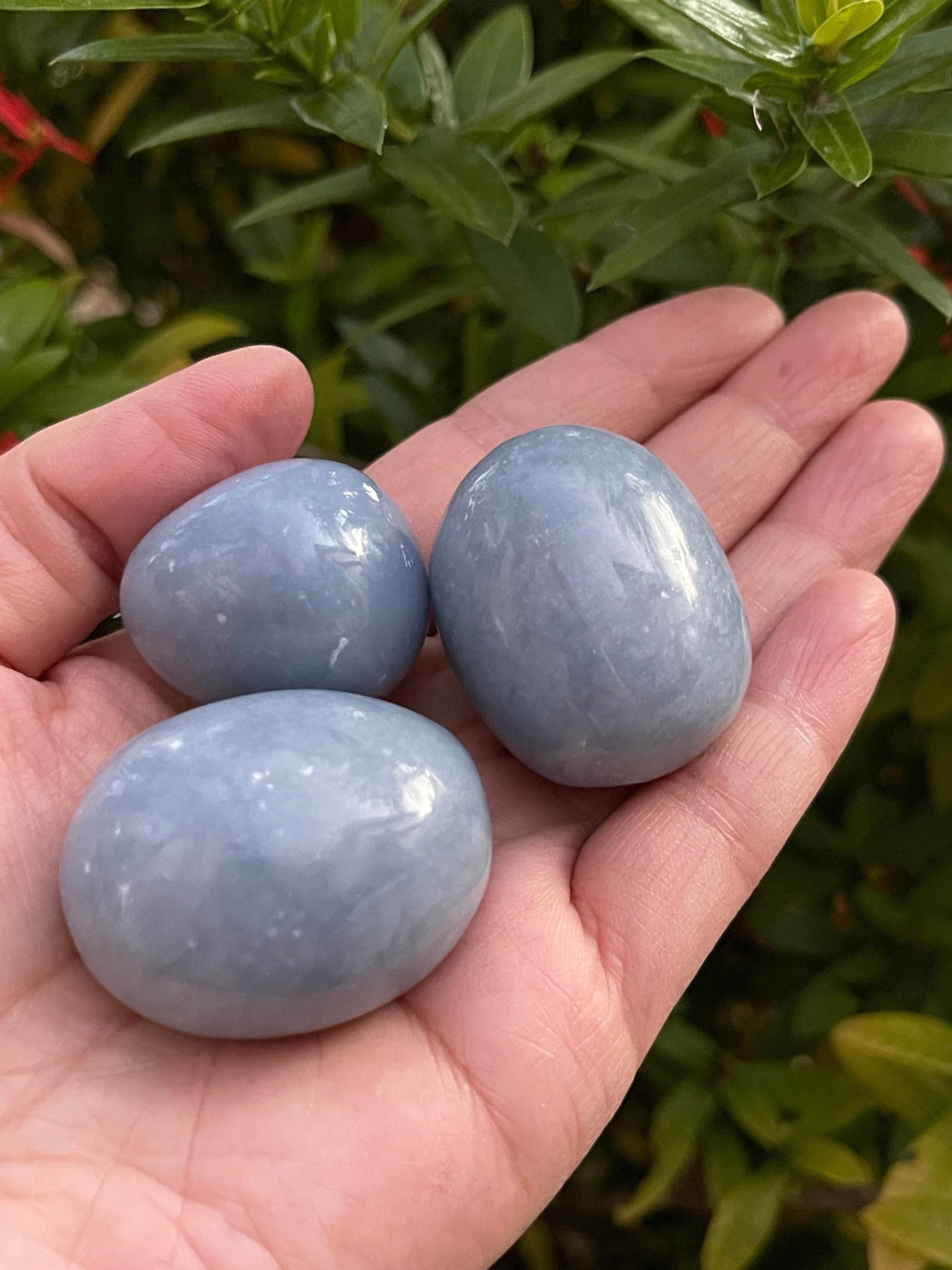 GAF TREASURES Angelite healing crystals natural stones for meditation and spiritual awareness