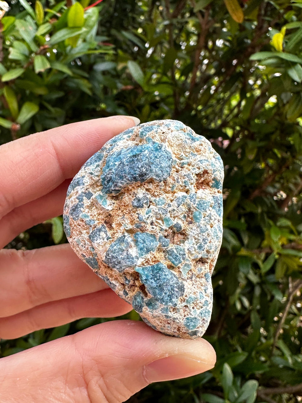 GAF Treasures apatite rough-1 stone for display and lapidary work