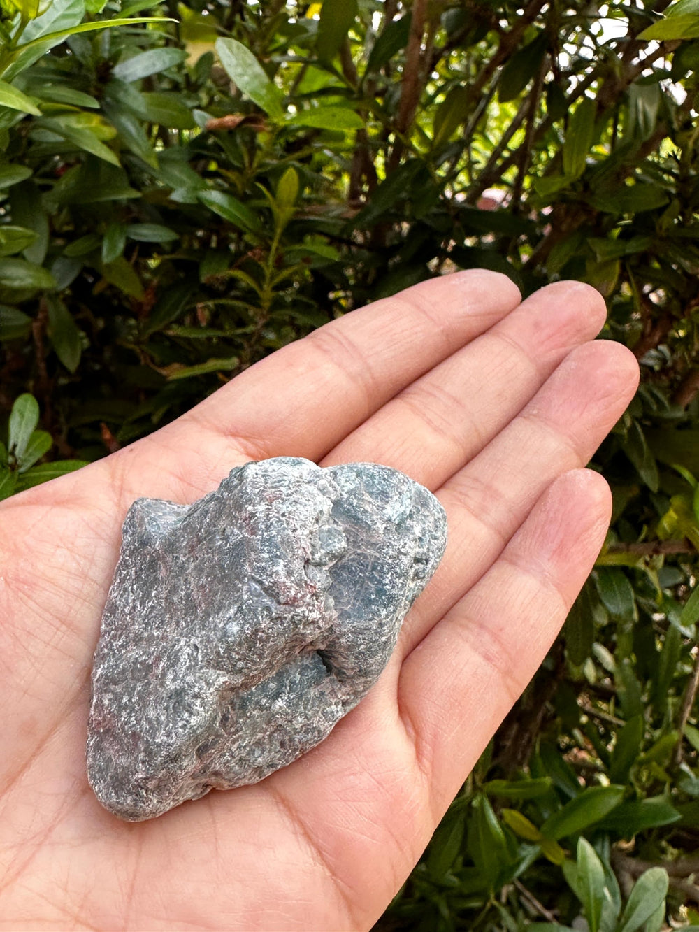 GAF Treasures apatite rough-3 stone for shelf display and polishing practice