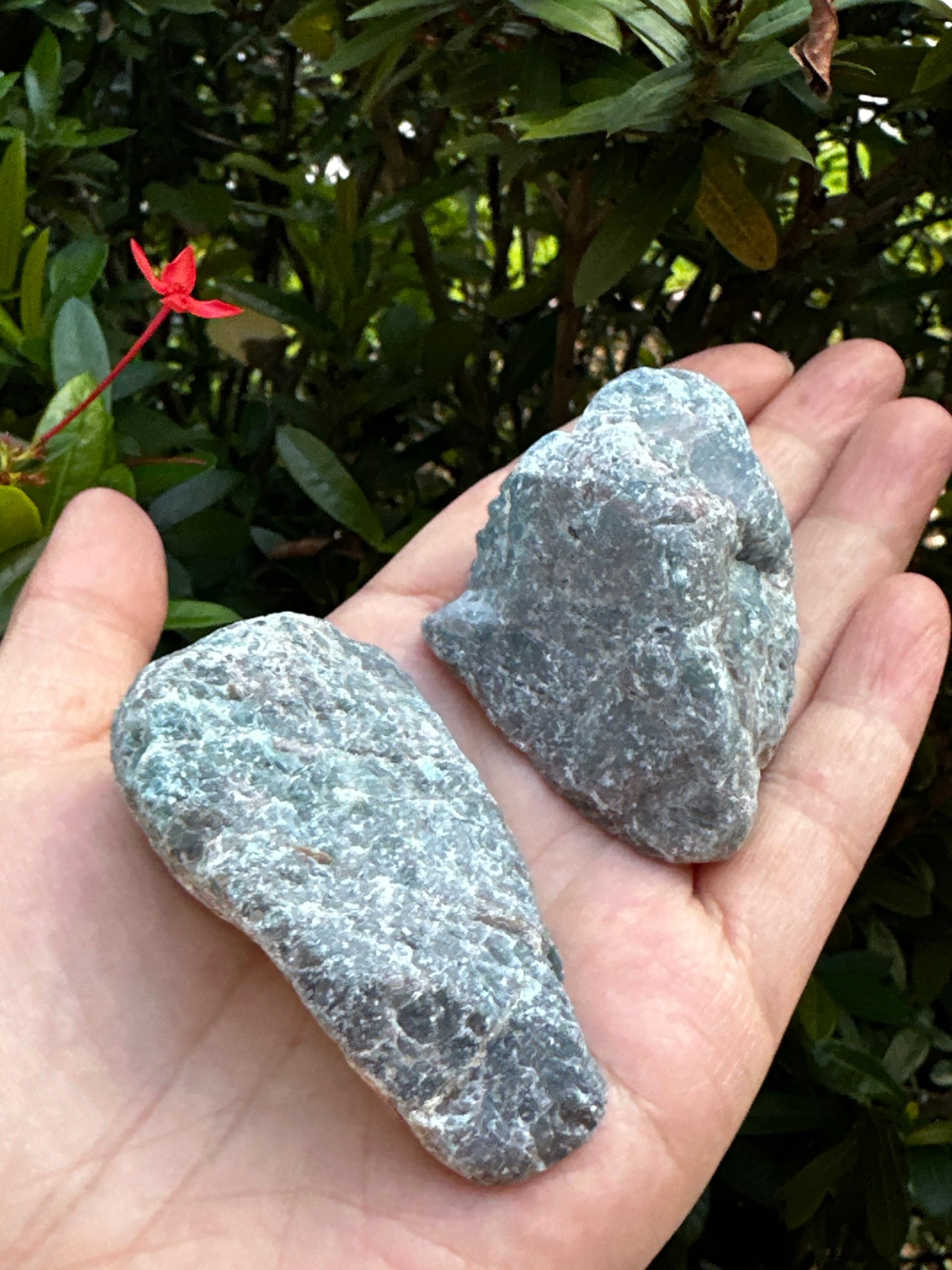 GAF Treasures apatite rough-5 stone for display and mineral study