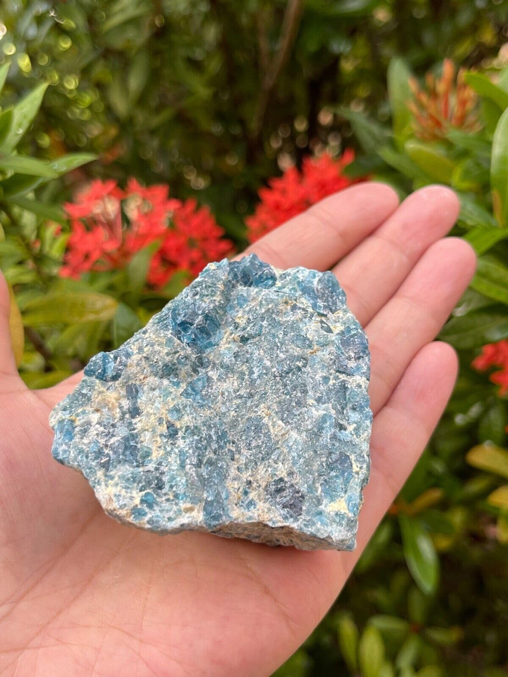 GAF Treasures apatite rough-6 stone for lapidary and craft projects