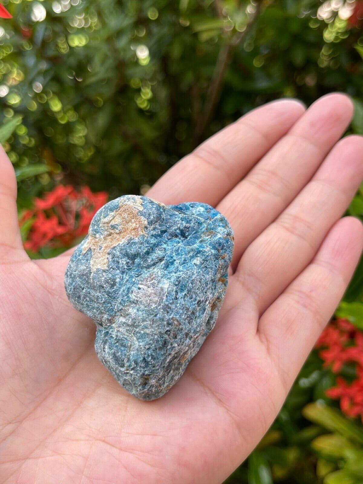 GAF Treasures apatite rough-7 stone for display and tactile meditation