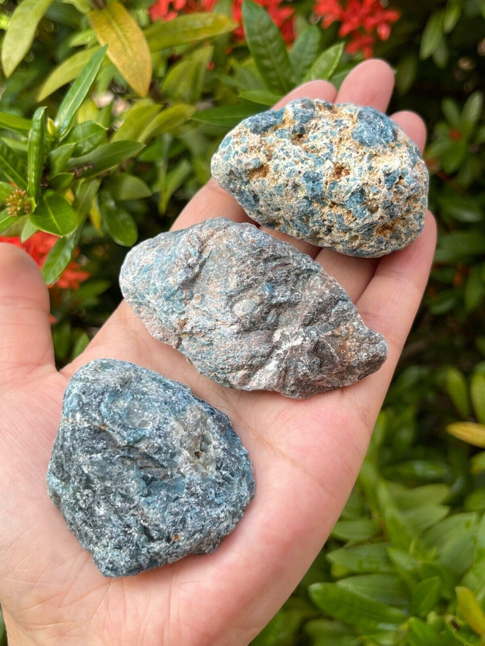 GAF Treasures apatite rough-8 stone for unique color patterns and display