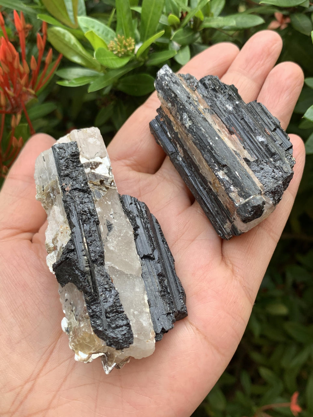 GAF Treasures unique mineral with quartz for collectors and display