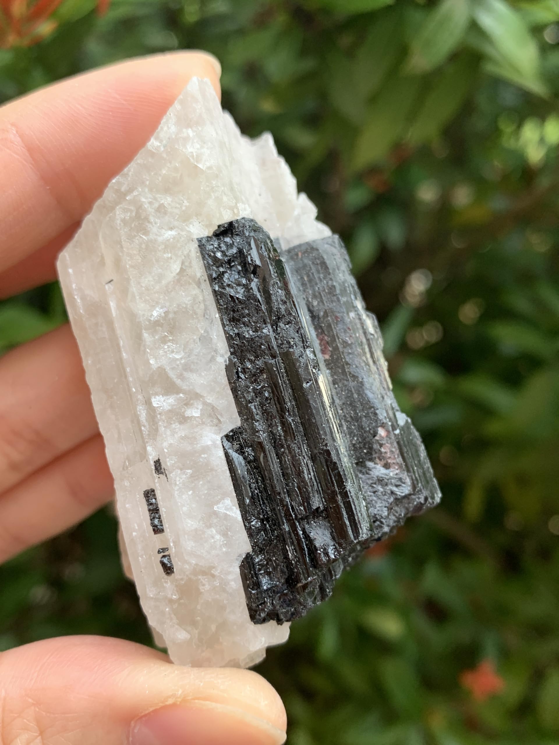 GAF Treasures rough tourmaline with quartz enhances crystal display arrangements