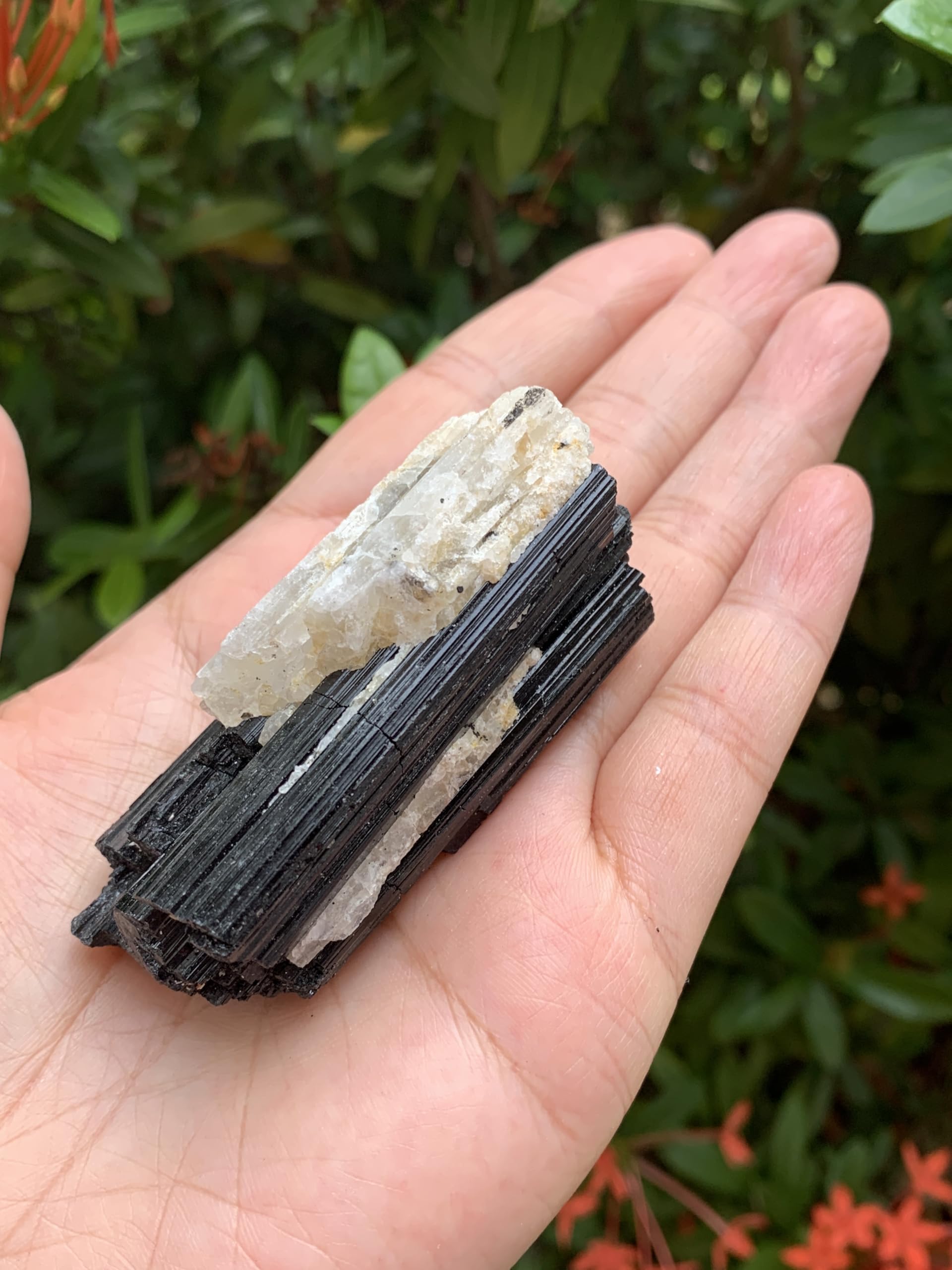 GAF Treasures natural black tourmaline with quartz rock adds a striking focal piece