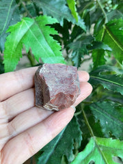 GAF TREASURES Bloodstone rough piece for lapidary projects and polishing