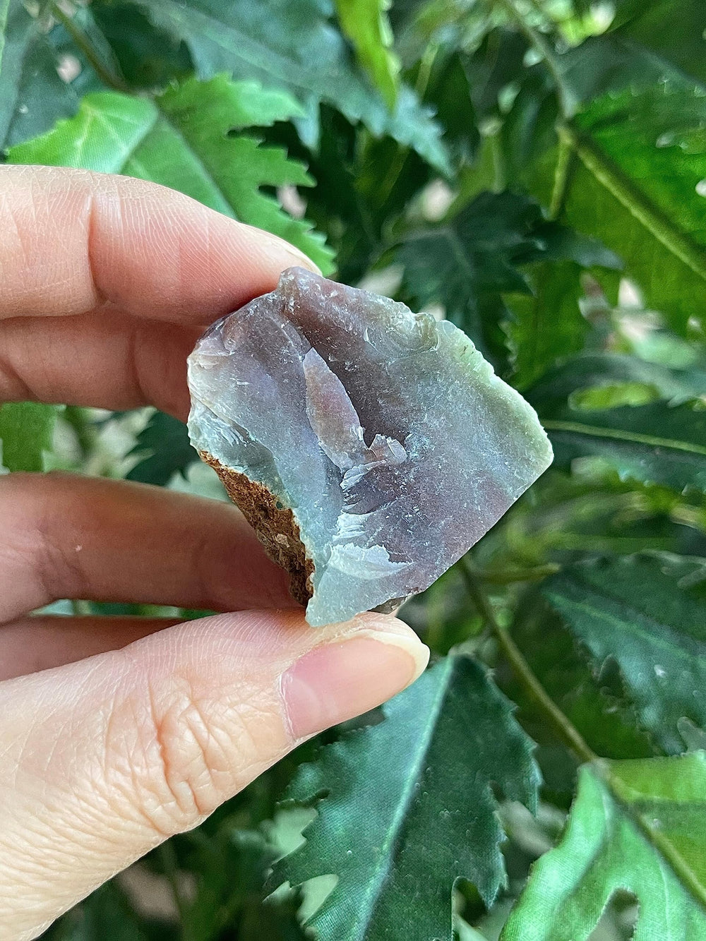 GAF TREASURES Bloodstone rough piece enhances crystal collection variety
