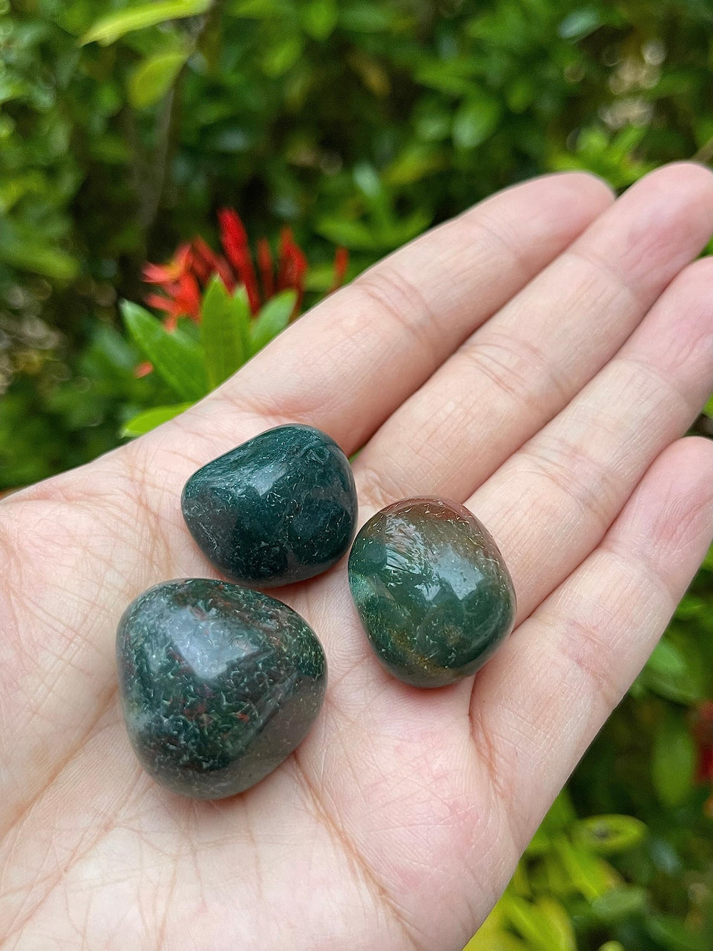GAF TREASURES Bloodstone tumbled stones arranged in a collection display