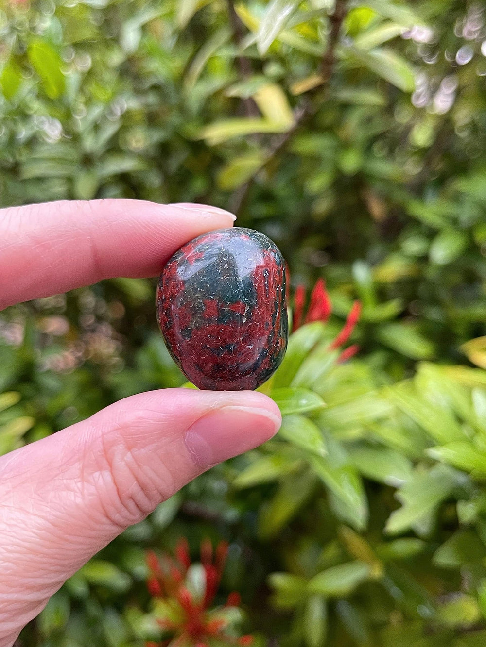 GAF TREASURES Bloodstone tumbled stones ready for pocket carry and grounding