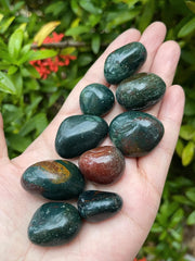 GAF TREASURES Bloodstone tumbled stones in a calm grid session for energy alignment
