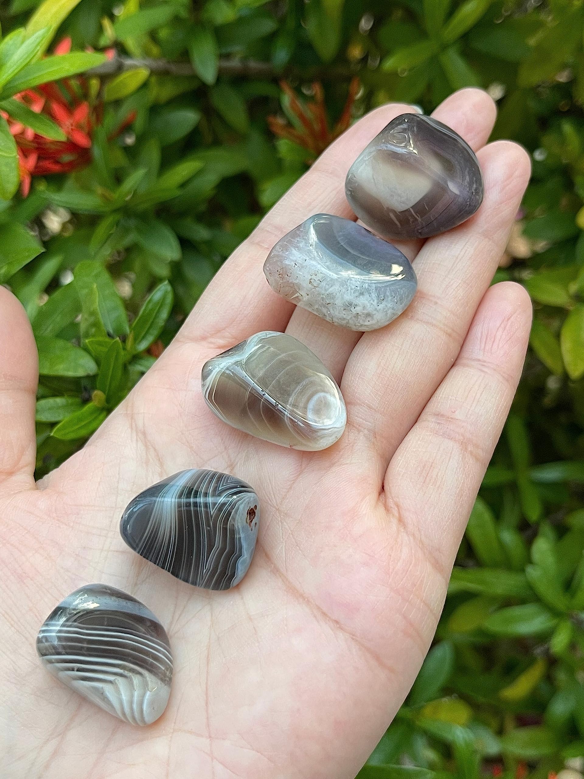 GAF TREASURES Botswana Agate natural stones suitable for crystal healing practice.
