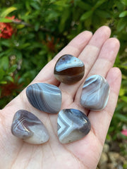 GAF TREASURES Botswana Agate Reiki stones aiding relaxation during therapy sessions.