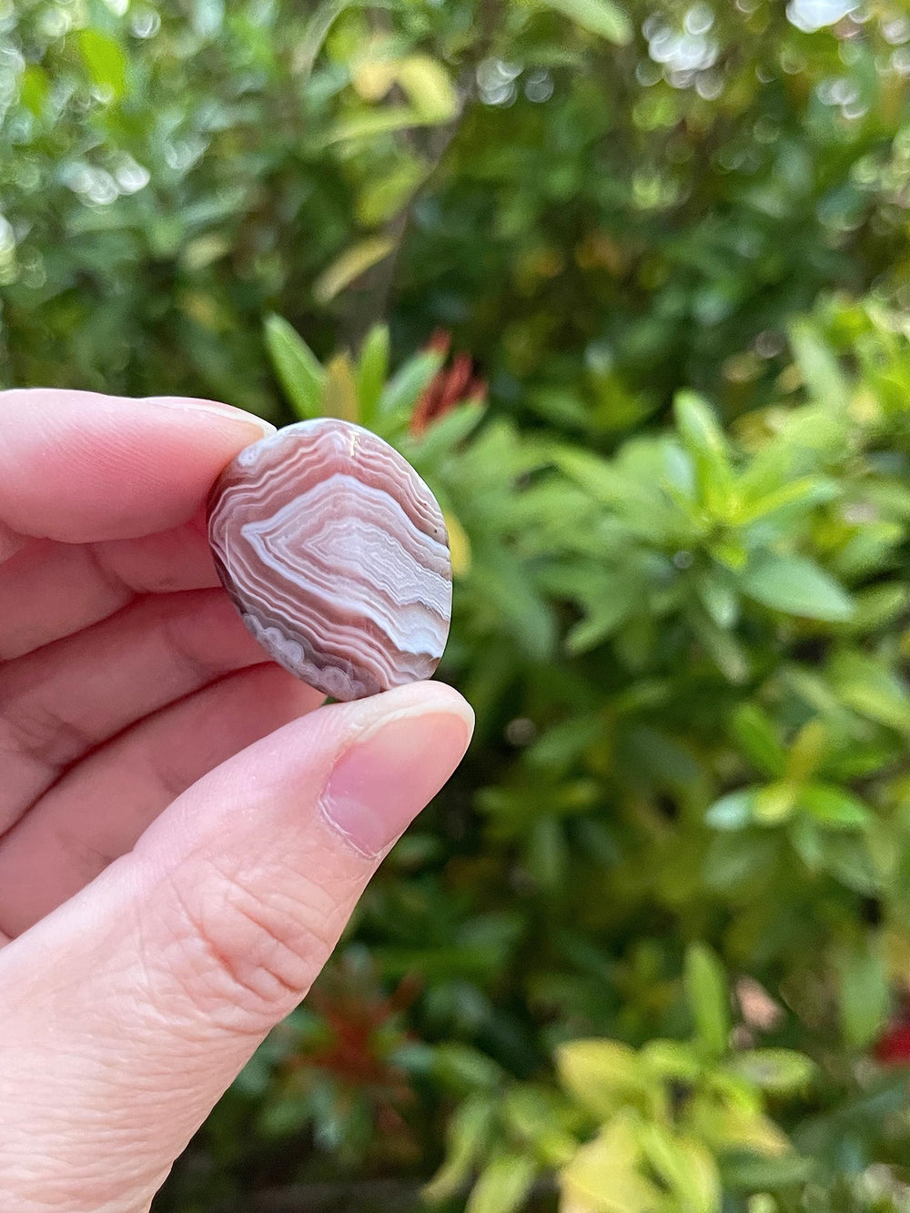 GAF TREASURES Botswana Agate size 0.75-1 inch ideal for jewelry or grip.