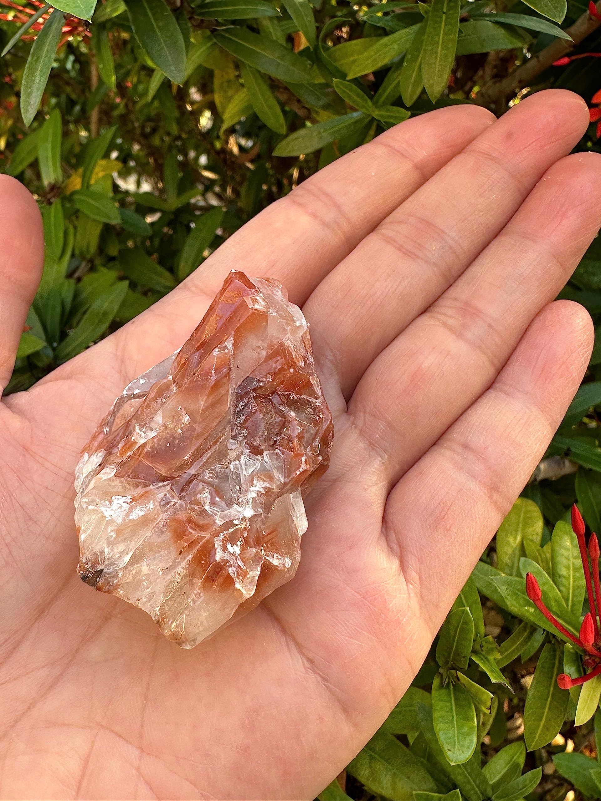 GAF TREASURES brown-red calcite rough features bold veining and earthy tones.