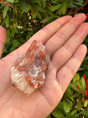 GAF TREASURES brown-red calcite rough features bold veining and earthy tones.
