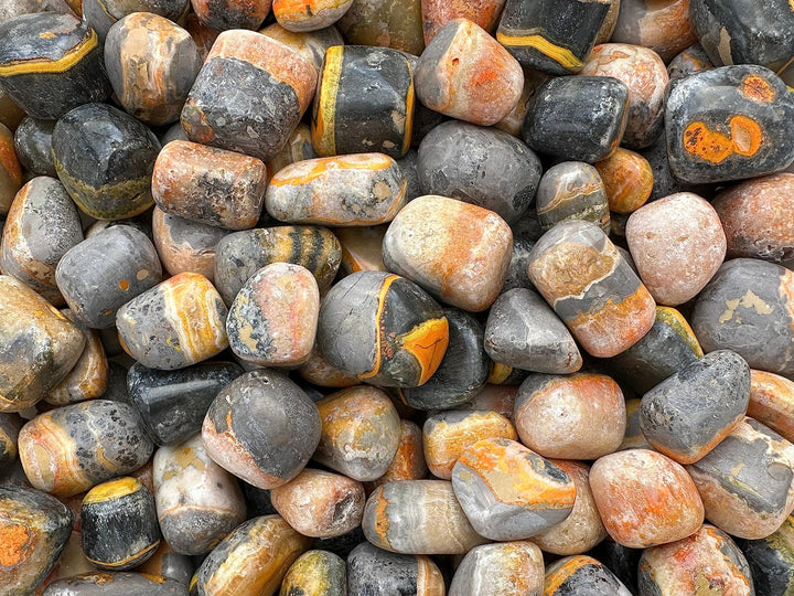 GAF Treasures Bumble Bee Jasper tumbled stones sized 0.75 to 1.25 inches.