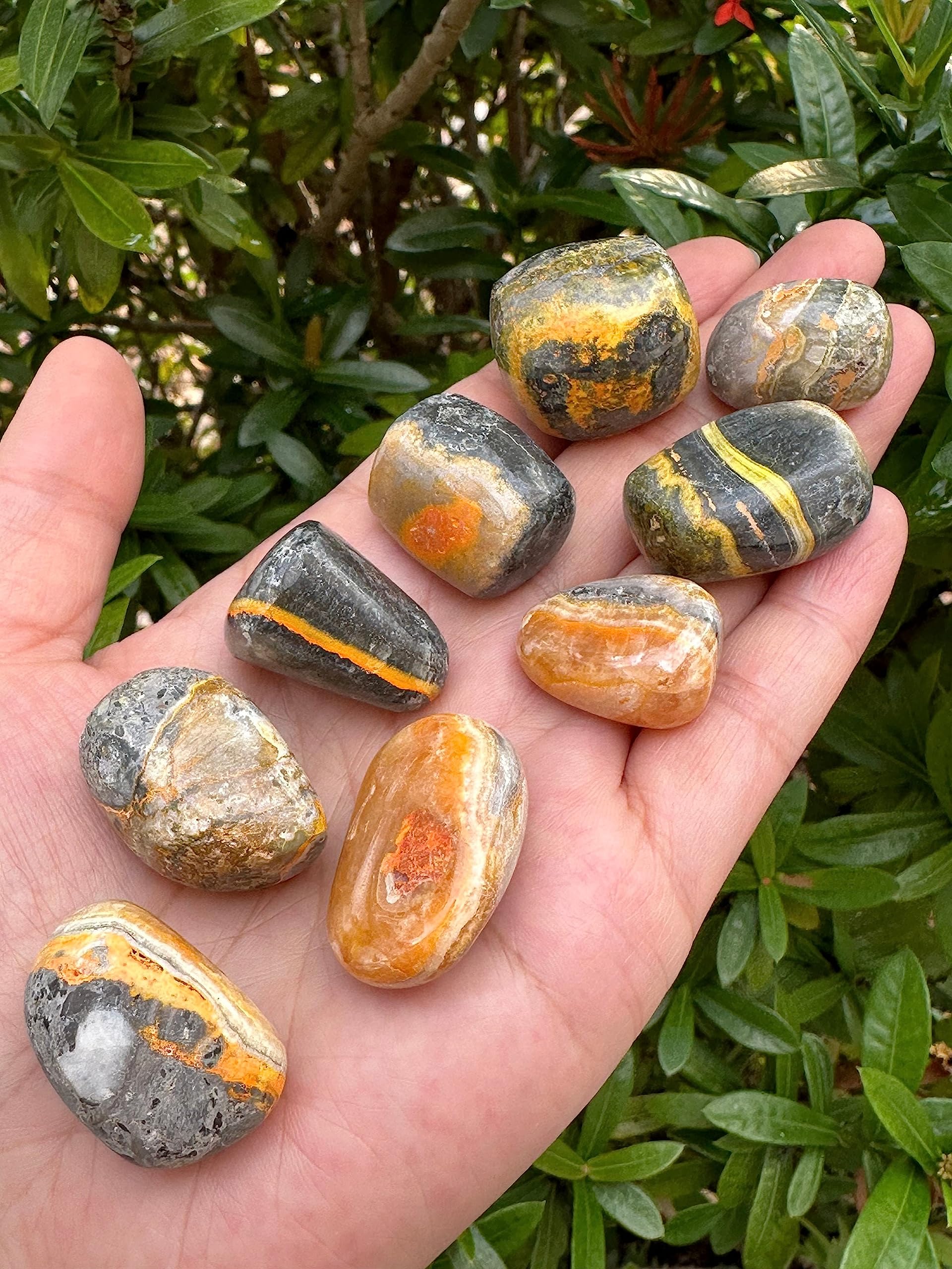 GAF Treasures Bumble Bee Jasper for therapy-inspired sessions and on-the-go touchstones.