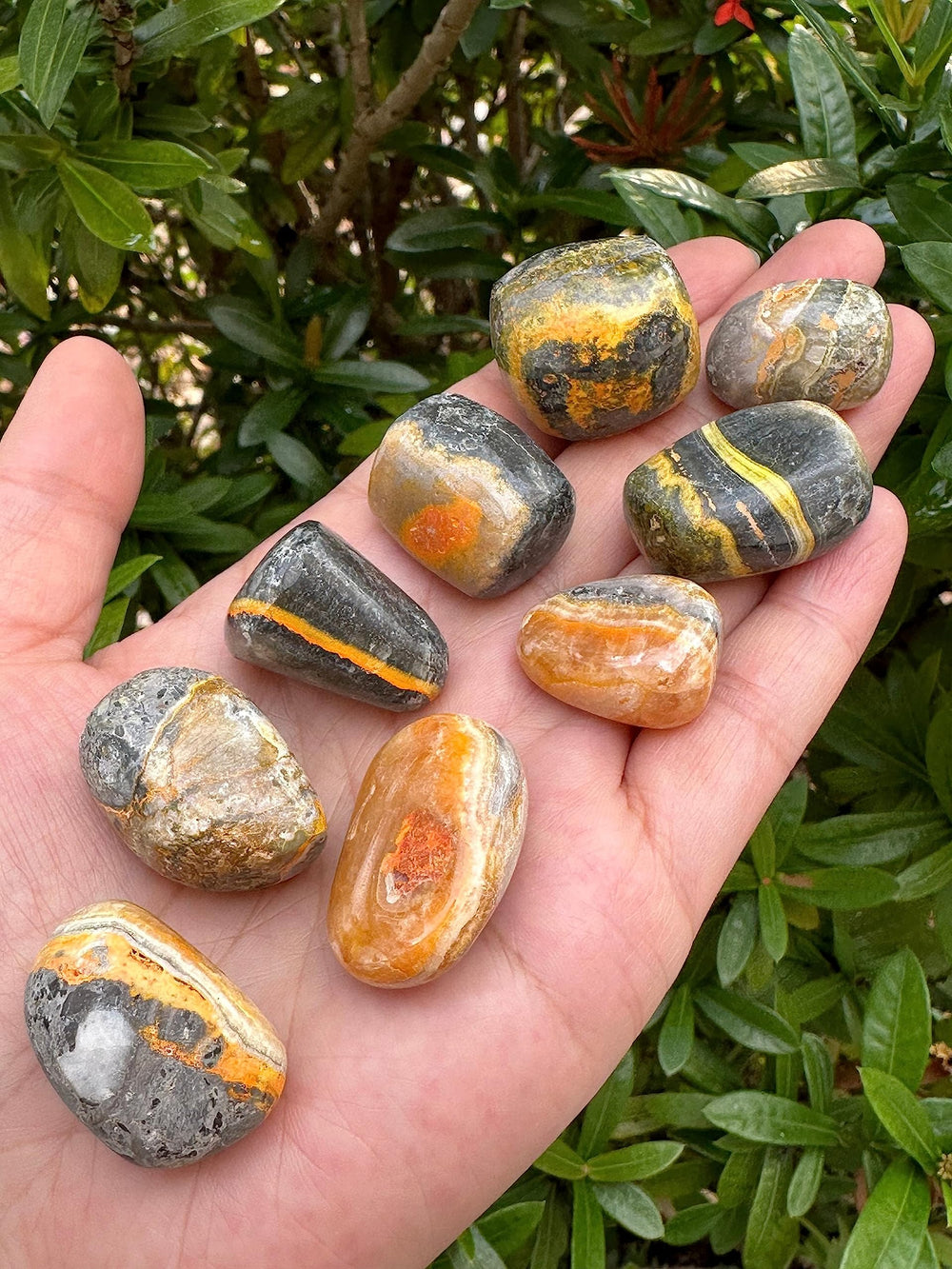 GAF Treasures Bumble Bee Jasper for therapy-inspired sessions and on-the-go touchstones.