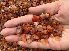 GAF TREASURES natural carnelian chips bulk display shows varied tones.