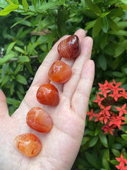 GAF TREASURES Carnelian stones in hand illustrating portable energy for focus and courage