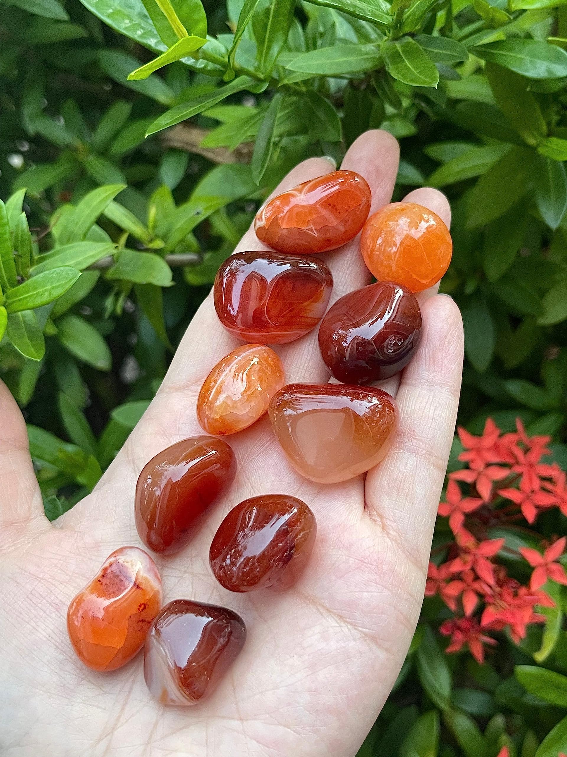 GAF TREASURES Carnelian stones displayed on wood table for natural beauty and focus cues