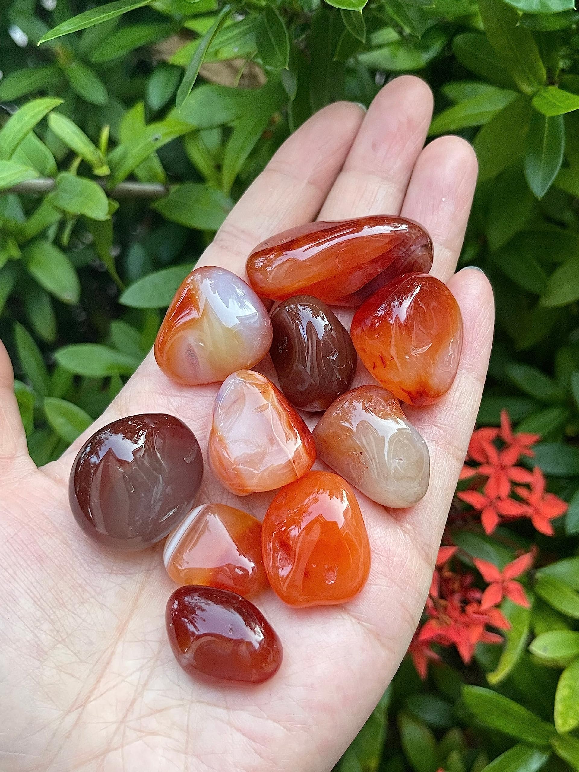 GAF TREASURES Carnelian tumbled stones closeup highlighting rich orange hues for energizing creativity
