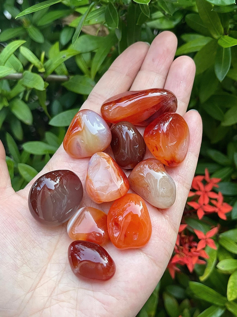 GAF TREASURES Carnelian tumbled stones closeup highlighting rich orange hues for energizing creativity