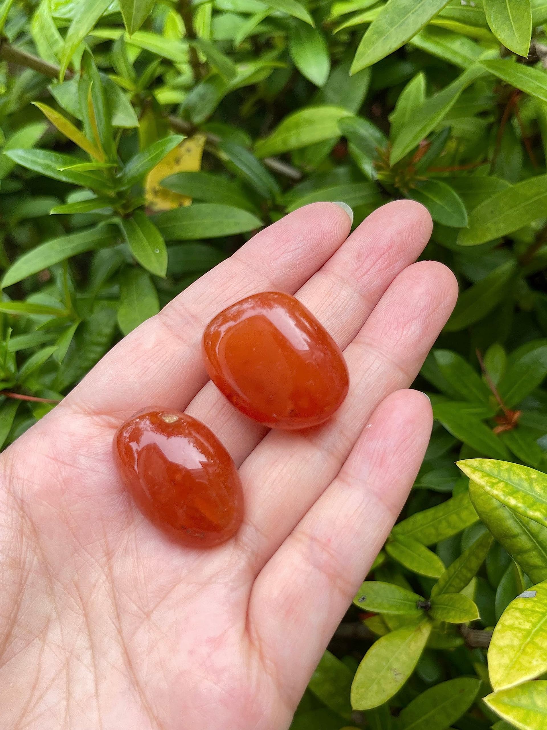 GAF TREASURES Carnelian tumbled stones ready for gifting and personal growth rituals