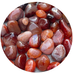 GAF TREASURES Carnelian tumbled stones pack shown together for meditation, focus, and creative energy