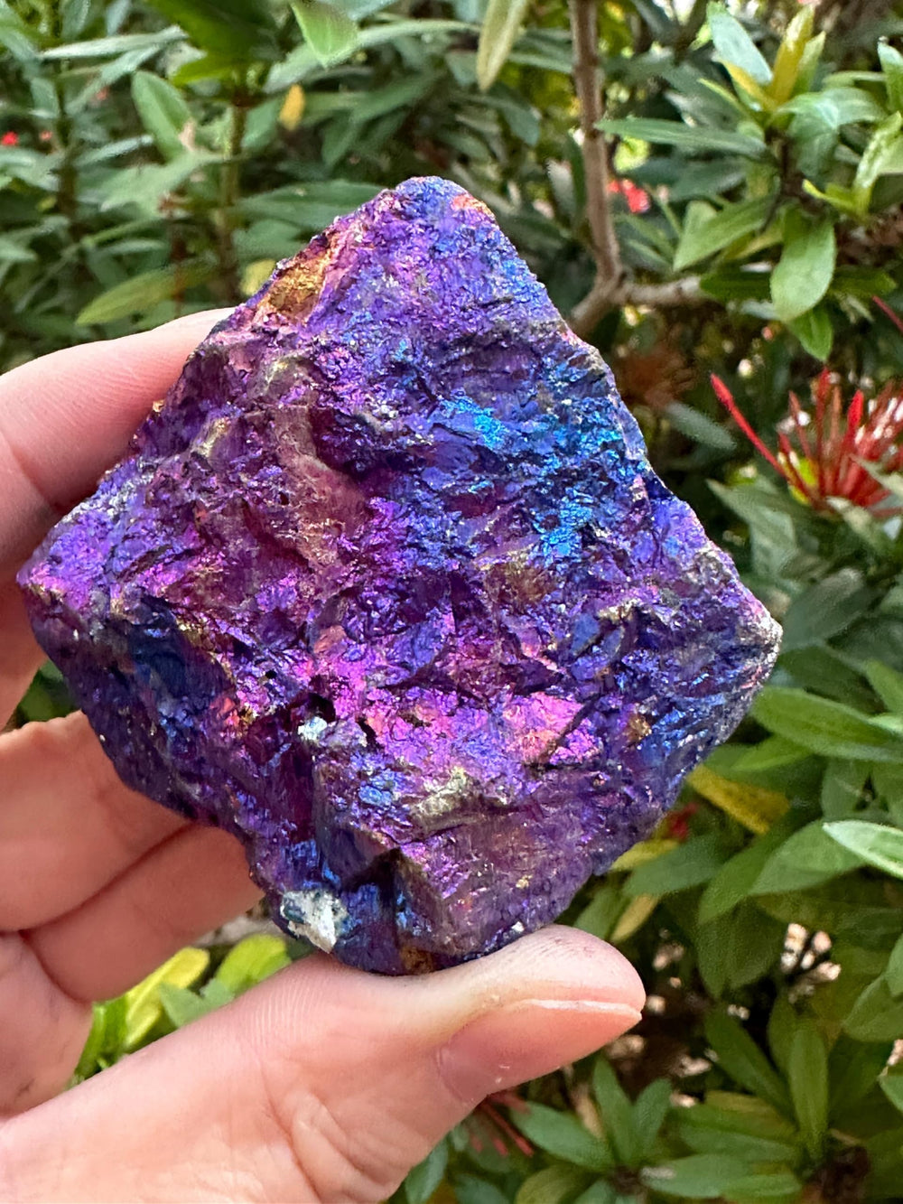 GAF Treasures rough chalcopyrite reflects light in vibrant tones
