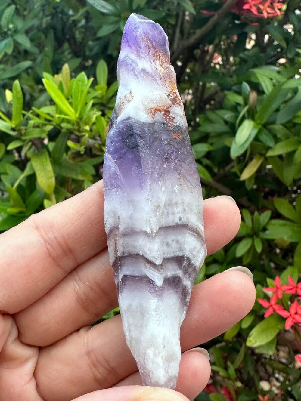 GAF TREASURES Chevron Amethyst cabbing rough ready for cutting and polishing experiments