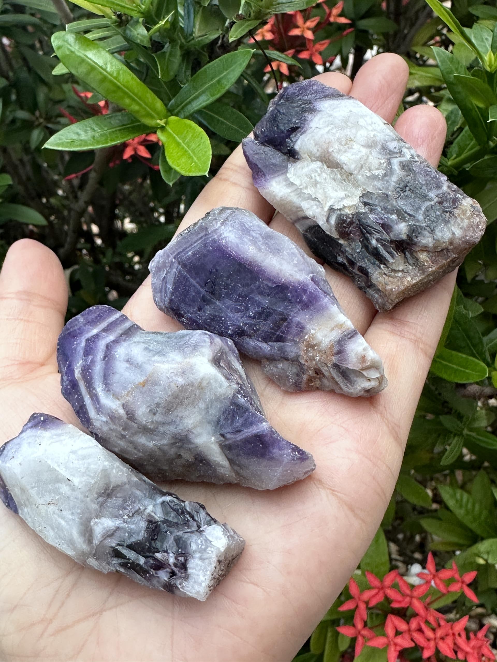 GAF TREASURES Chevron Amethyst rock collection piece with unique patterns ideal for display