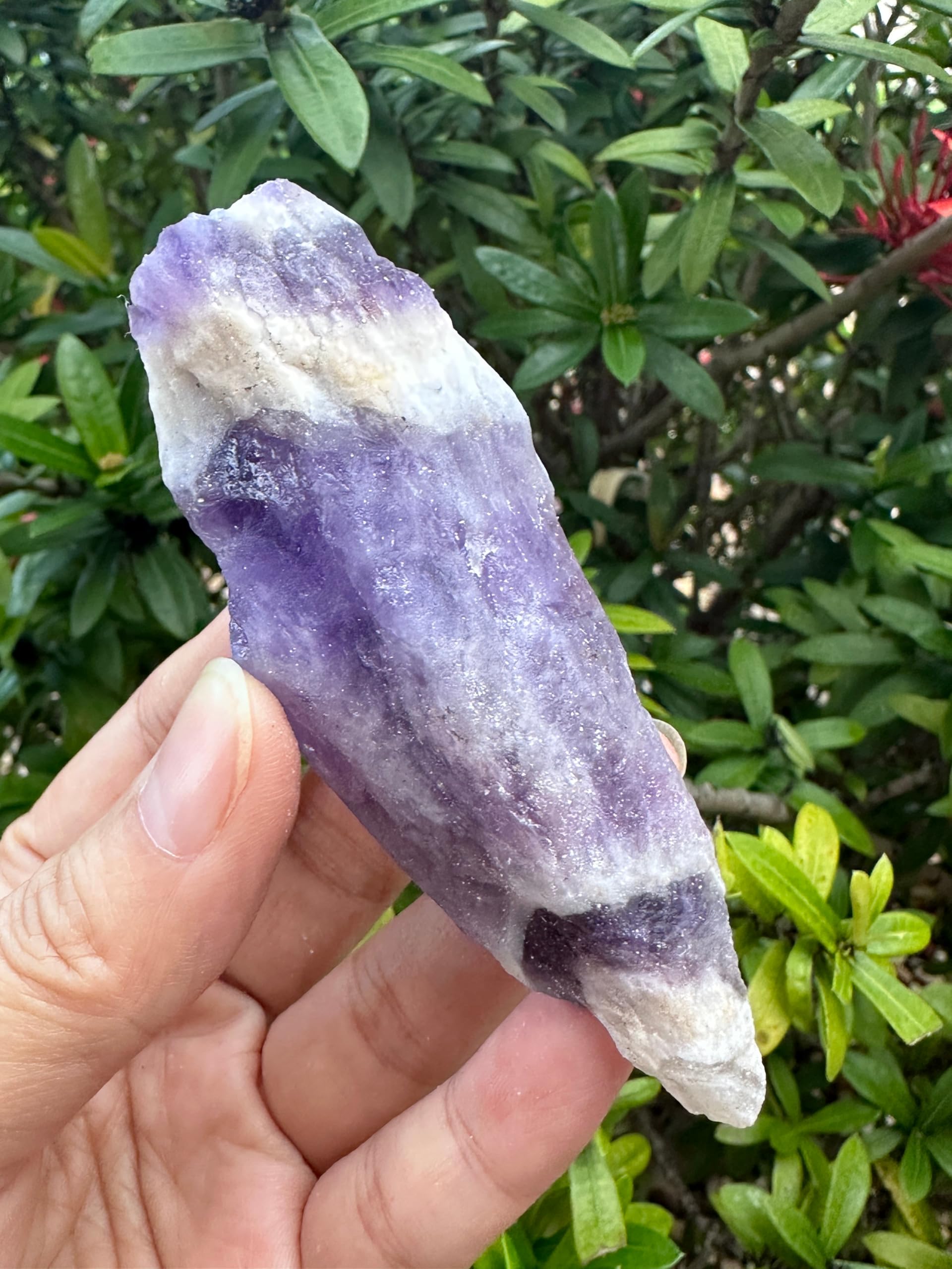 GAF TREASURES Chevron Amethyst rough large stone for display and mindful meditation