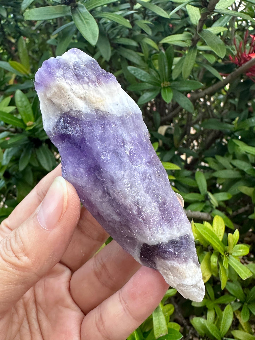 GAF TREASURES Chevron Amethyst rough large stone for display and mindful meditation