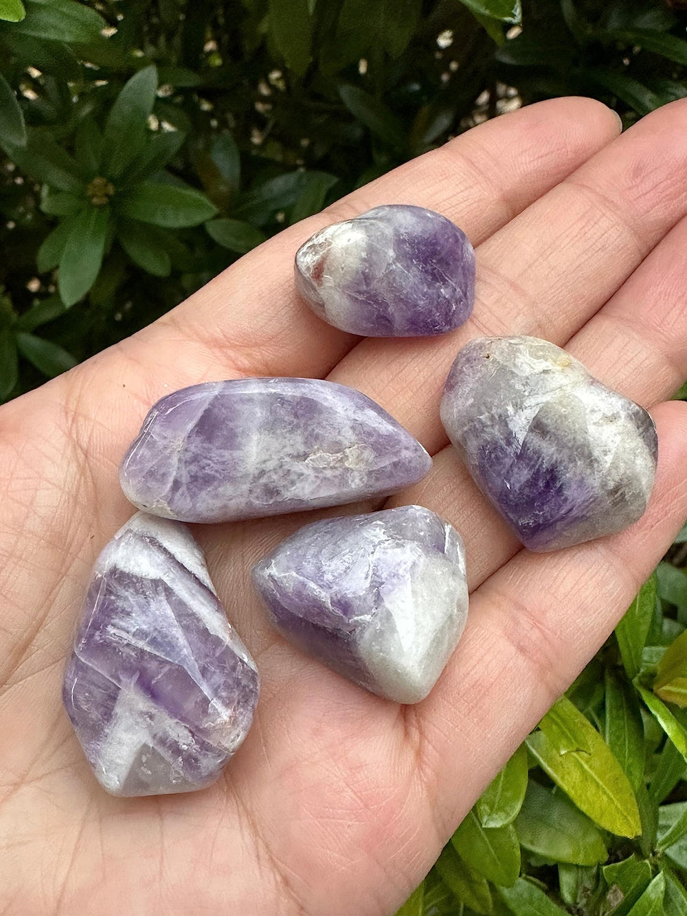 GAF Treasures tumbled chevron amethyst stones for display and craft layouts