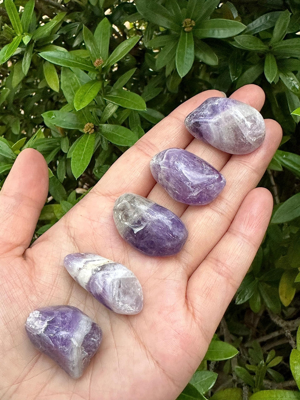 GAF Treasures 0.75–1.25 inch stones ideal for pocket carry