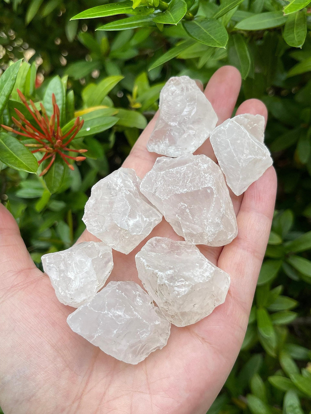 GAF TREASURES Clear Quartz rough for cabbing tumbling and lapidary projects