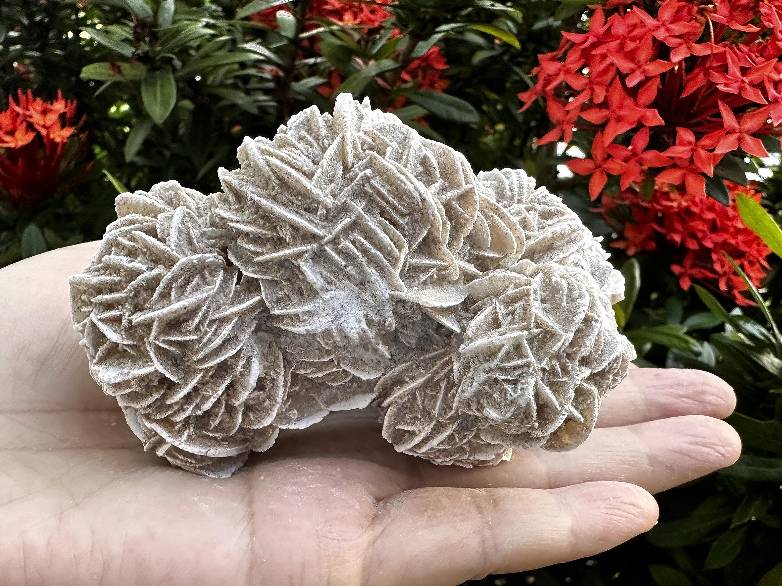 GAF TREASURES Desert Rose Cluster full view suitable for altar display and calm reflection