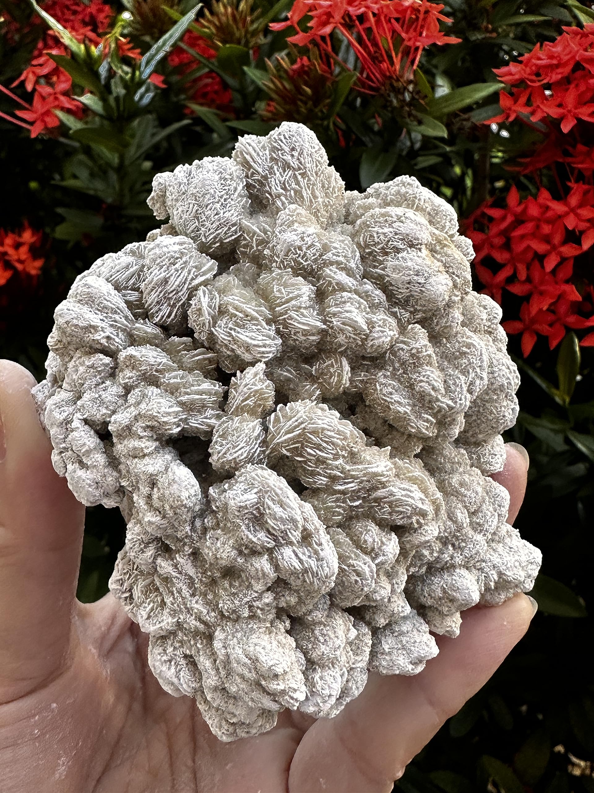 GAF TREASURES Desert Rose Rock collection arranged to enhance room harmony