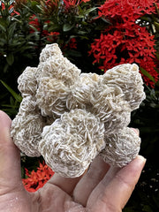GAF TREASURES Desert Rose Selenite stones highlighting cleansing energy for crystals and space
