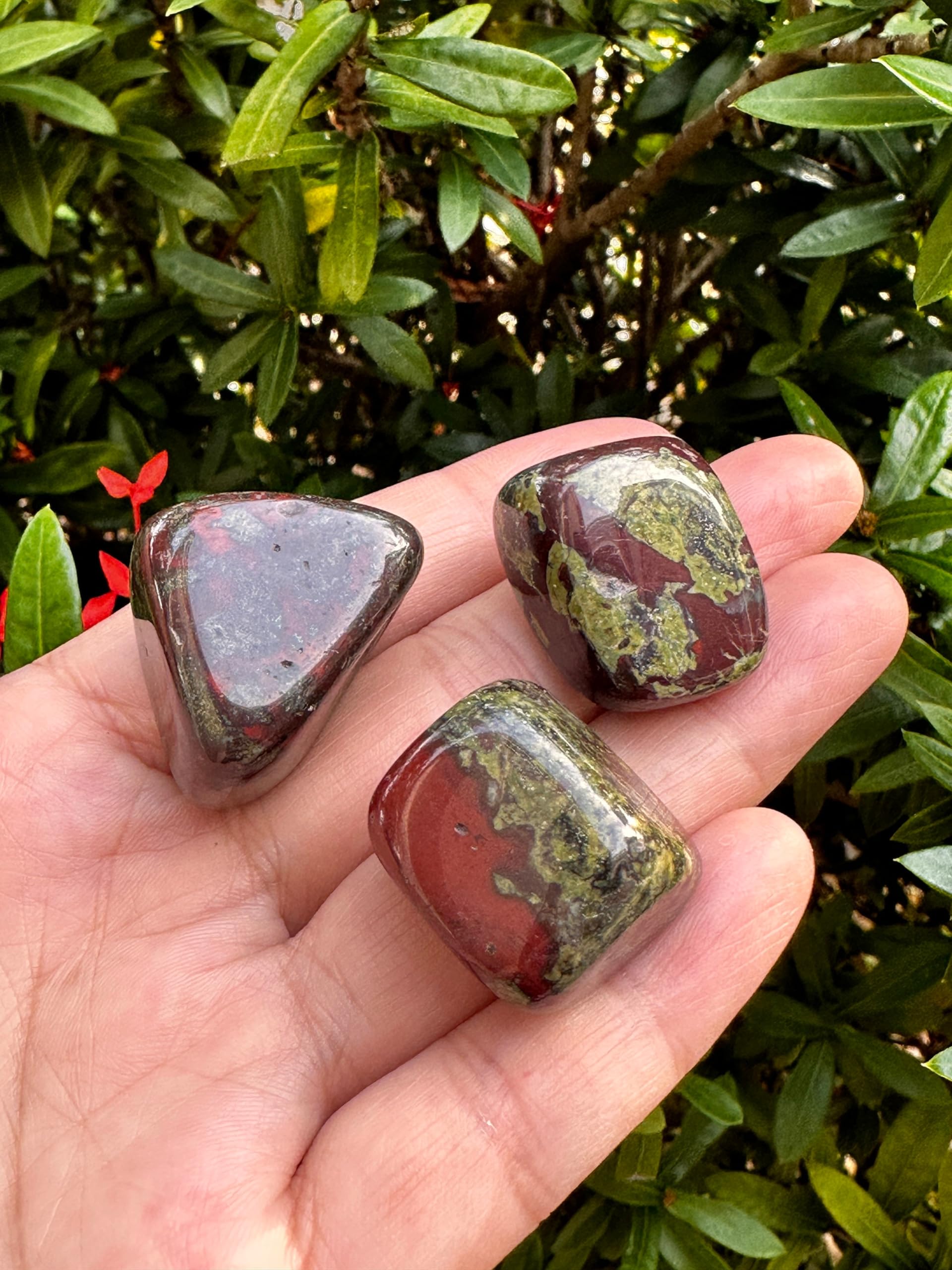 GAF TREASURES Dragon Blood Jasper gemstone variety showcasing color and texture for grids