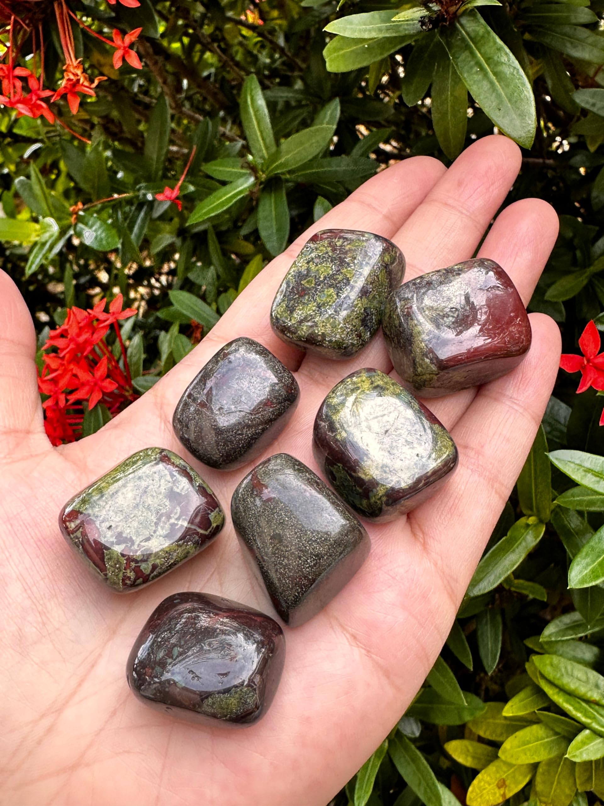 GAF TREASURES Dragon Blood Jasper natural stones with unique patterns for personal rituals