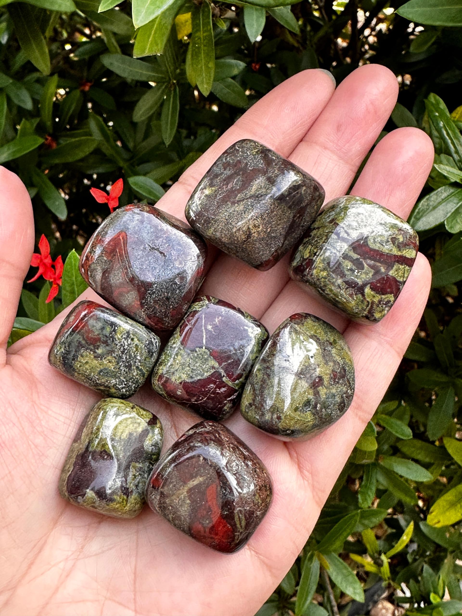 GAF TREASURES Dragon Blood Jasper polished gemstones highlighting natural patterns for daily inspiration