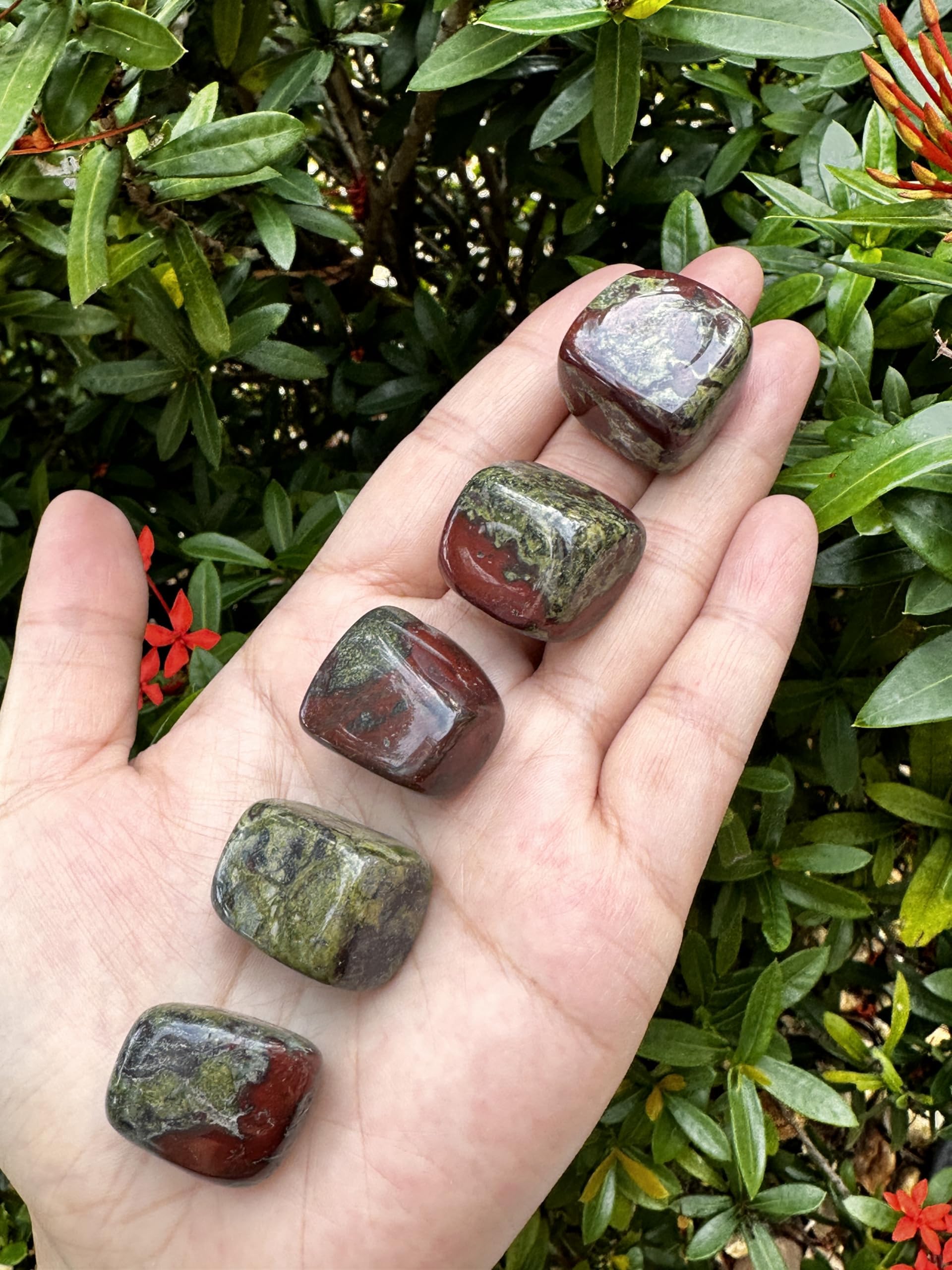 GAF TREASURES Dragon Blood Jasper tumbled stones collection for mindful reflection and momentum