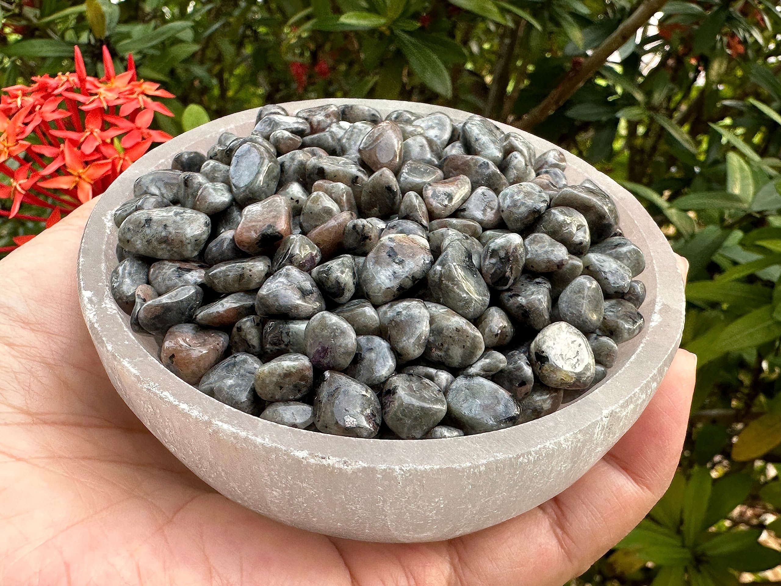 GAF TREASURES Flame chips for air plant substrates and terrariums.