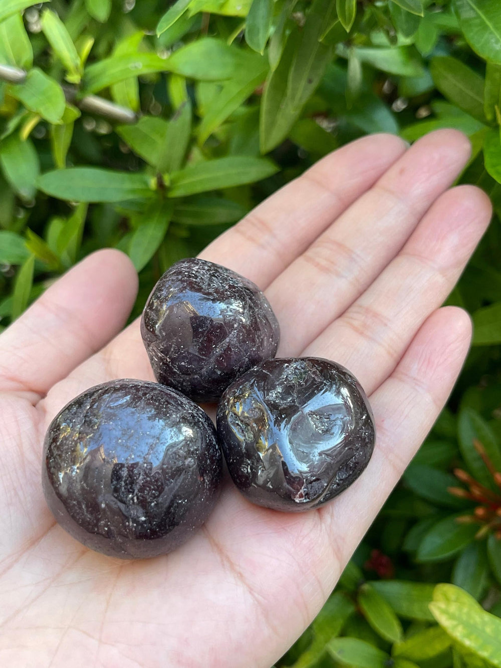 GAF TREASURES Garnet bulk lot ideal for wholesale gifting or large grids