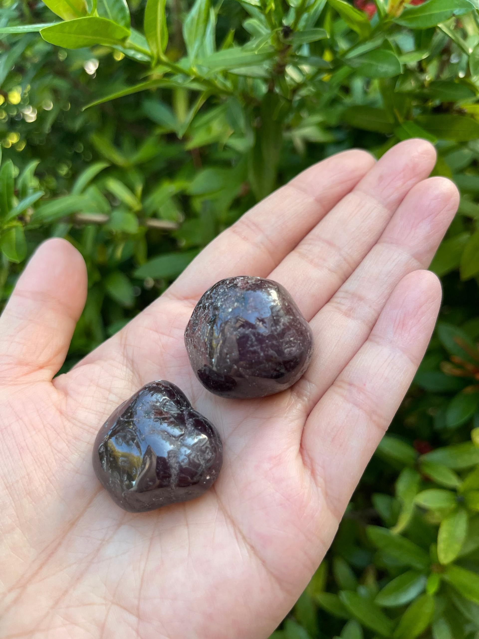 GAF TREASURES Garnet Healing Crystals natural stones ready for display or collection