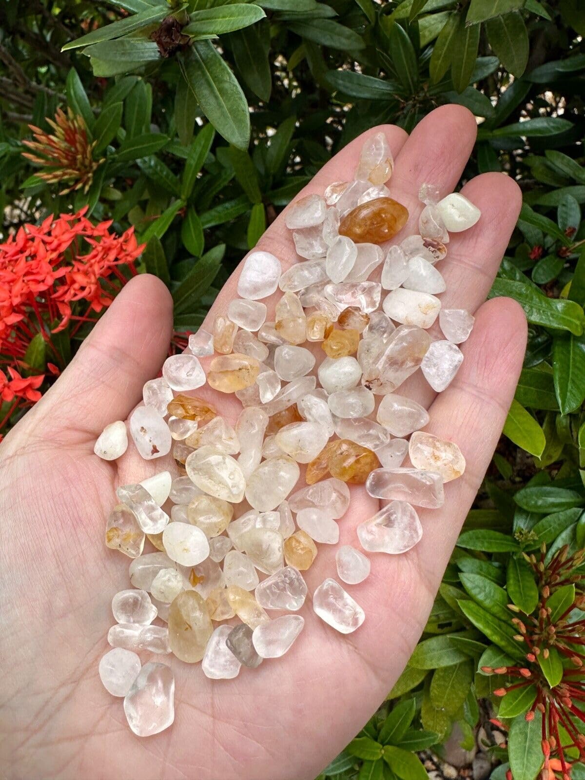 GAF TREASURES Golden Healer Quartz Chips semi-tumbled for smooth edges and shine.